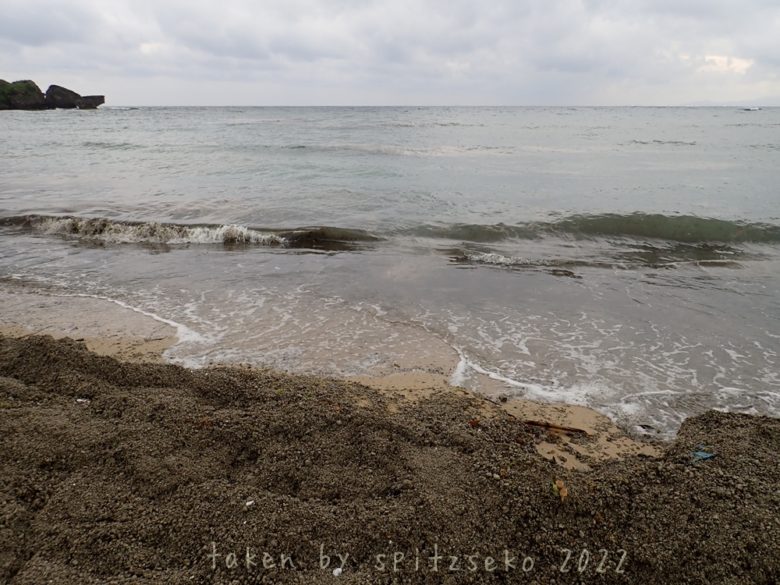 2022/2/17現在沖縄恩納村マリブビーチ正面、出入り口付近の軽石状況