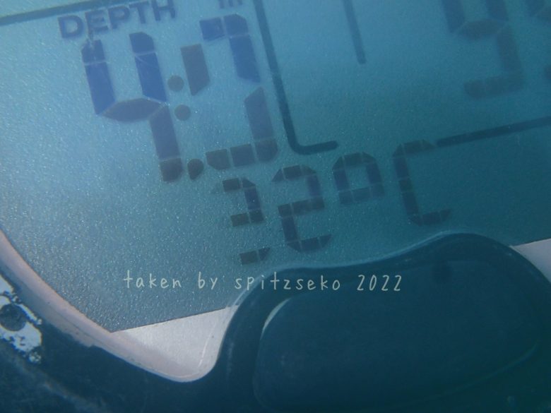 水温22度