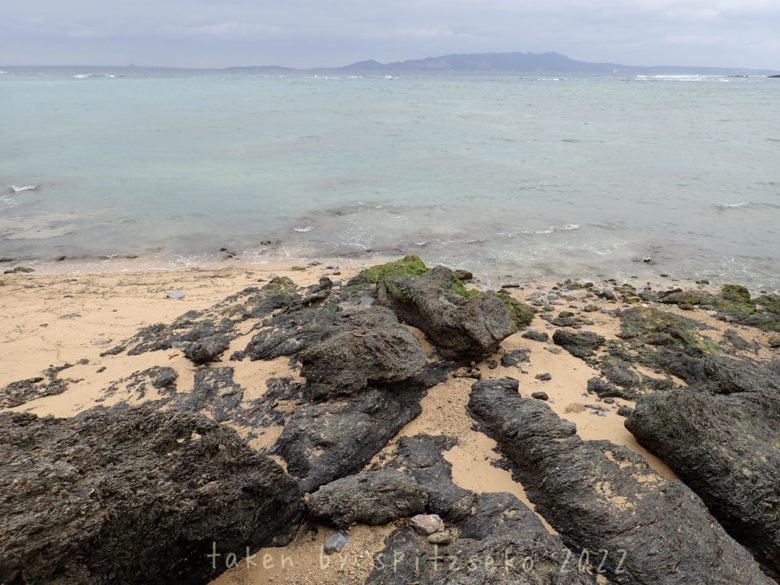 2022/2/21現在、沖縄恩納村ハマバルビーチの軽石状況