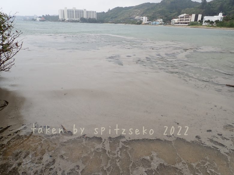 2022/3/2現在、沖縄恩納村マリブビーチ最西端の軽石状況