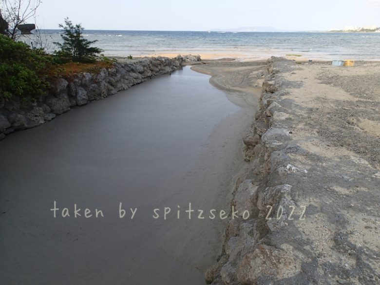 2022/3/3現在、沖縄恩納村マリブビーチ西端の川の軽石状況