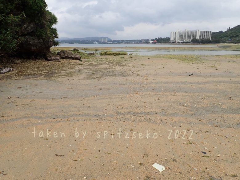 2022/3/4現在、沖縄恩納村マリブビーチ最西端の軽石状況