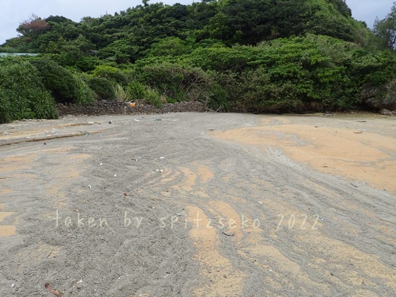 2022/3/4現在、沖縄恩納村マリブビーチ最西端の軽石状況
