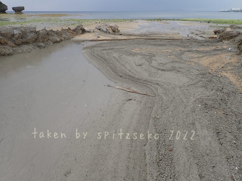 2022/3/4現在、沖縄恩納村マリブビーチ西端の川の軽石状況