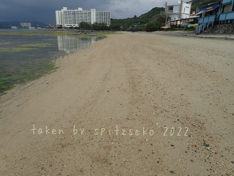 2022/3/4現在、沖縄恩納村マリブビーチ正面、出入り口付近の軽石状況