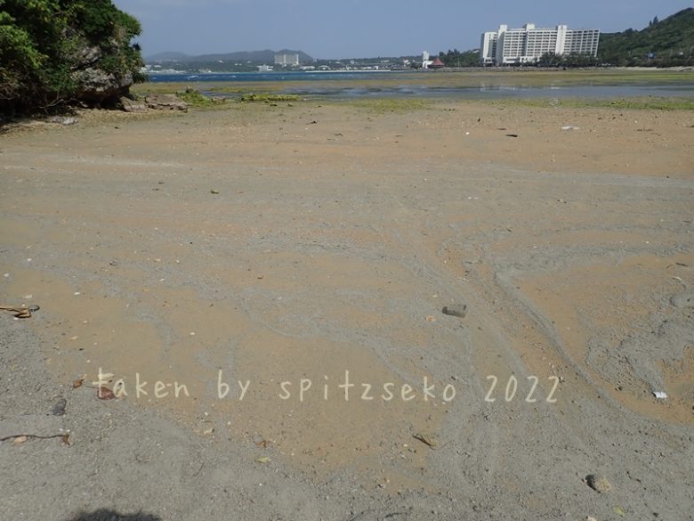 2022/3/6現在、沖縄恩納村マリブビーチ最西端の軽石状況