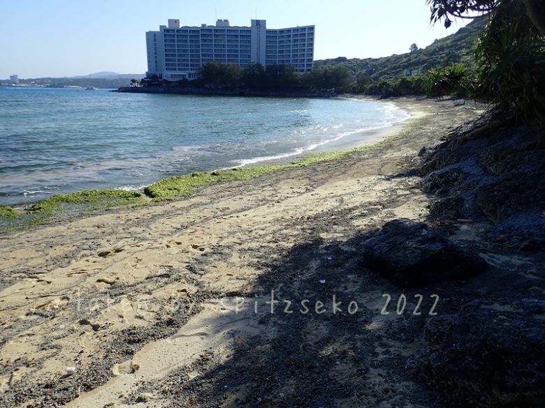 2022/3/9現在、沖縄恩納村マリブビーチ最東端の軽石状況