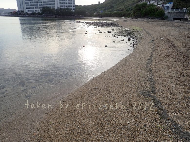 2022/3/14現在、沖縄恩納村マリブビーチ東端の軽石状況