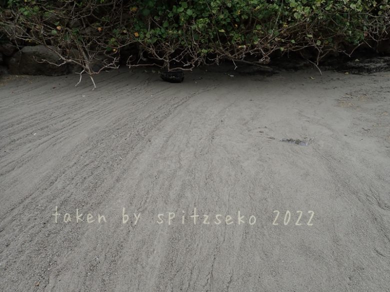 2022/3/17現在、沖縄恩納村マリブビーチ最西端の軽石状況