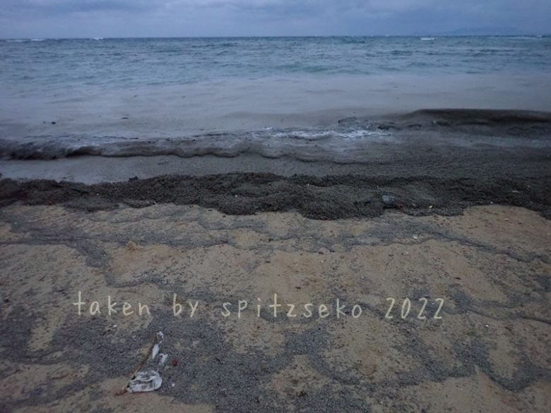 2022/3/19現在、沖縄恩納村マリブビーチ正面、出入り口付近の軽石状況