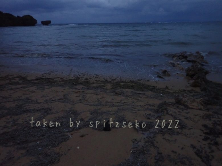 2022/3/19現在、沖縄恩納村マリブビーチ西端の軽石状況