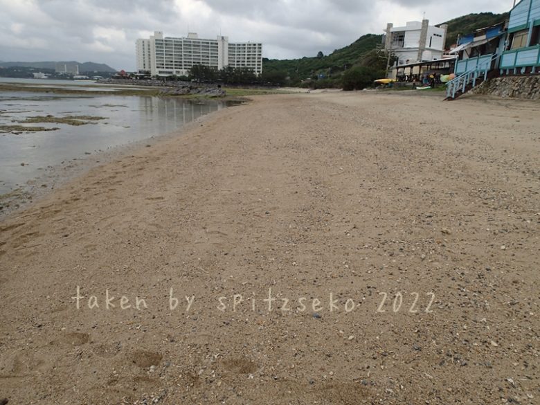 2022/3/21現在、沖縄恩納村マリブビーチ正面、出入り口付近の軽石状況