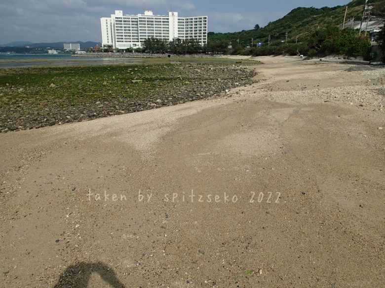 2022/3/24現在、沖縄恩納村マリブビーチ東端の軽石状況