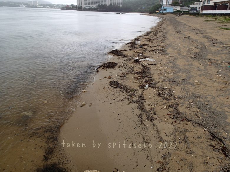 2022/6/1現在、沖縄恩納村マリブビーチ西端の軽石状況